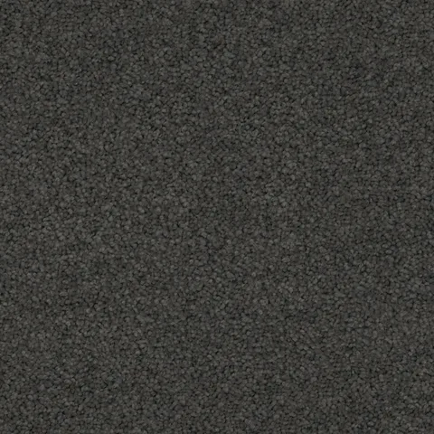 Dark Shadow carpet swatch